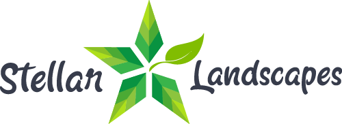 Main Logo Stellar Landscapes